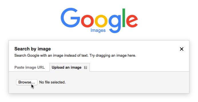 图片[5]-谷歌搜图 Google Image Search 谷歌图片搜索识图-LyleSeo