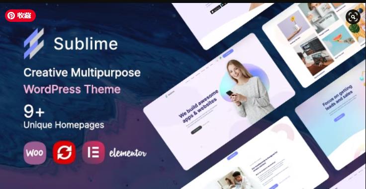 图片[1]-Sublime - 多用途Wordpress 主题-LyleSeo