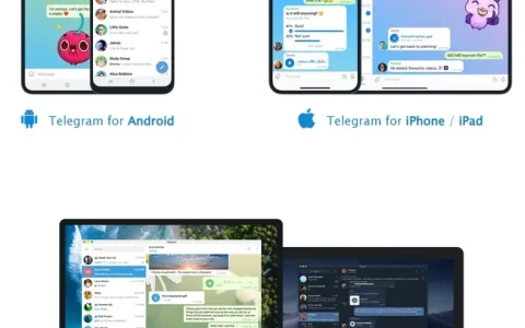 Telegram使用指南（电脑+手机+手机号码+功能介绍）