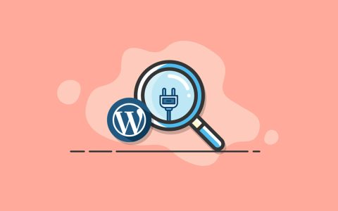 WordPress移除搜索结果页面noindex nofollow