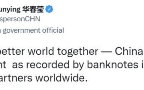 “中国建造”华春莹连发13张图，意味深长