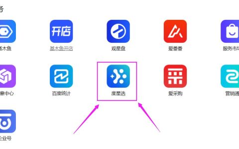 什么是百度度星选？