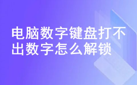 数字键打不出数字（电脑键盘打不出数字怎么解决）