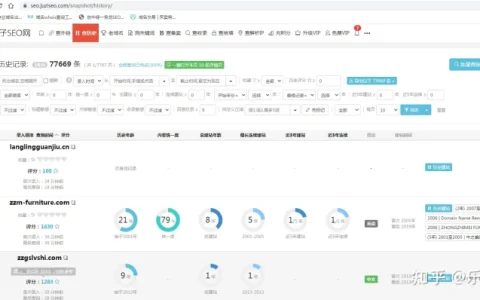 桔子SEO 的功能 有哪些