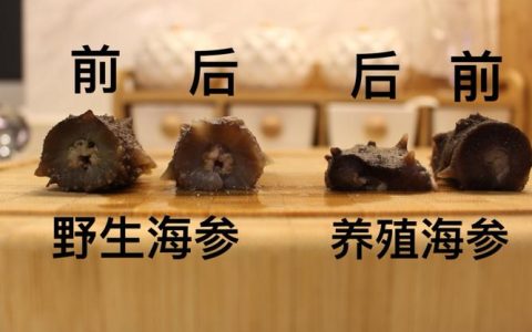 海参的好坏如何鉴别（主要有以下几招）