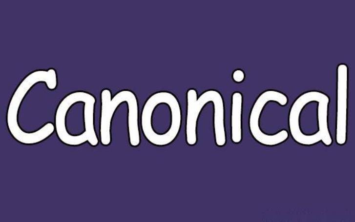 canonical标签