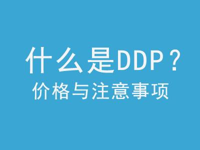 什么是ddp
