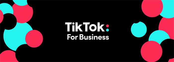 tiktik for business