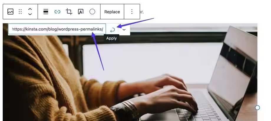 Click-on-the-Apply-button-after-inserting-a-URL.jpgo_