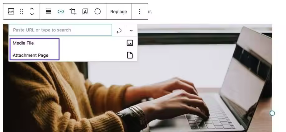 Consider-media-file-and-attachment-page-links.jpgo_