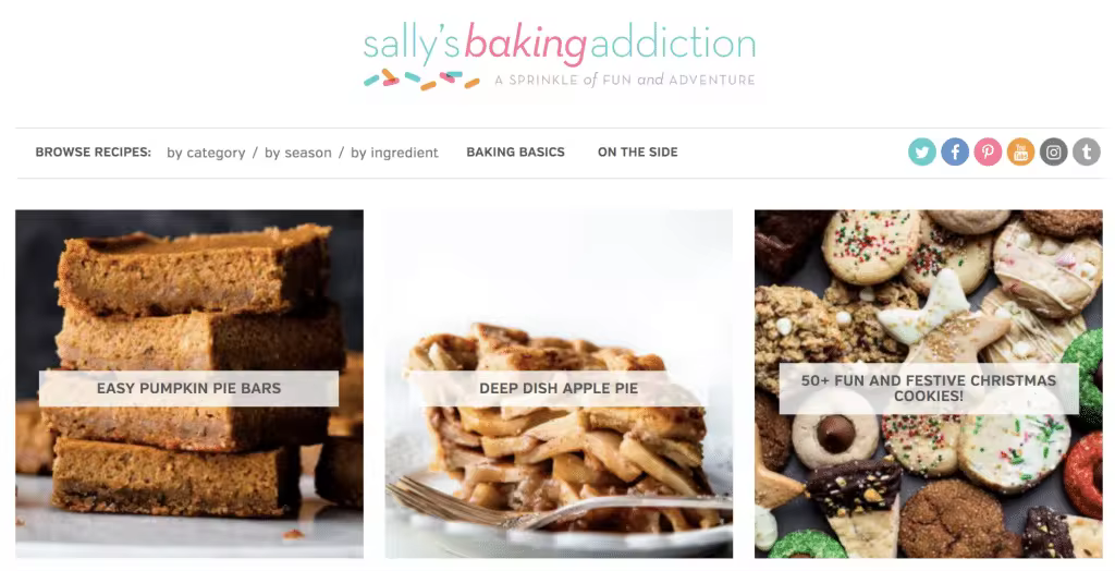 How-to-Start-a-Food-Blog-8-1024x524-1.pngo_