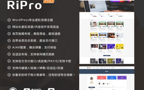 WordPress素材源码付费下载/会员制主题RiPro