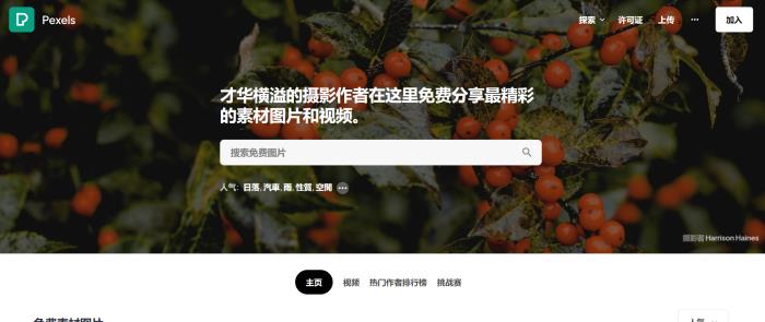 Pexels - 免费可商用素材网站