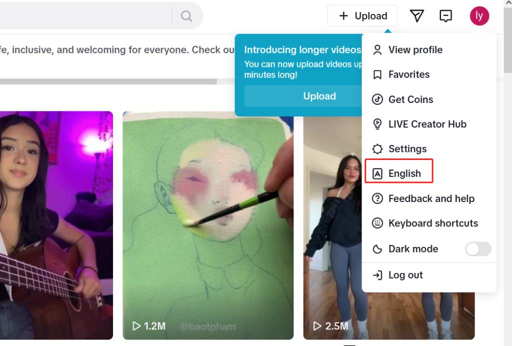Tiktok中文版网页设置