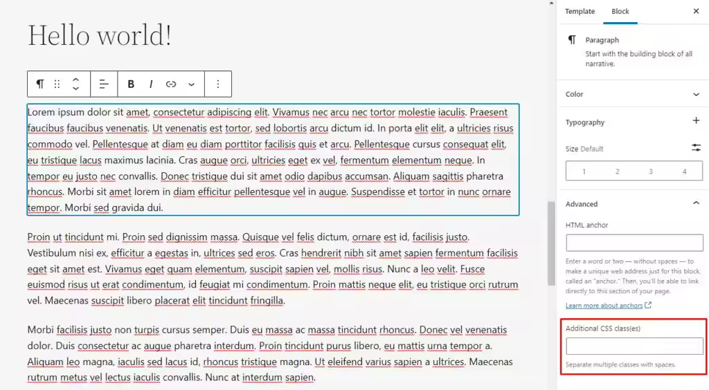 additional-css-field.webp.jpgo_