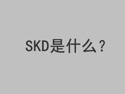 SKD是什么意思?