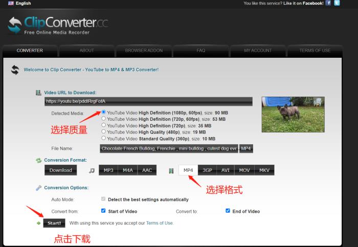 图片[3]-ClipConverter - Youtube在线视频下载工具-LyleSeo