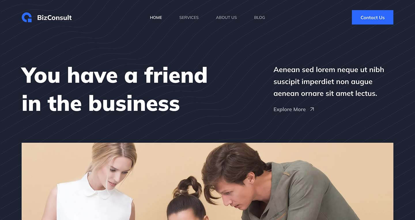 bizconsult