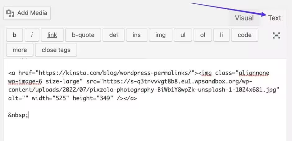 classic-editor-text-panel.jpego_