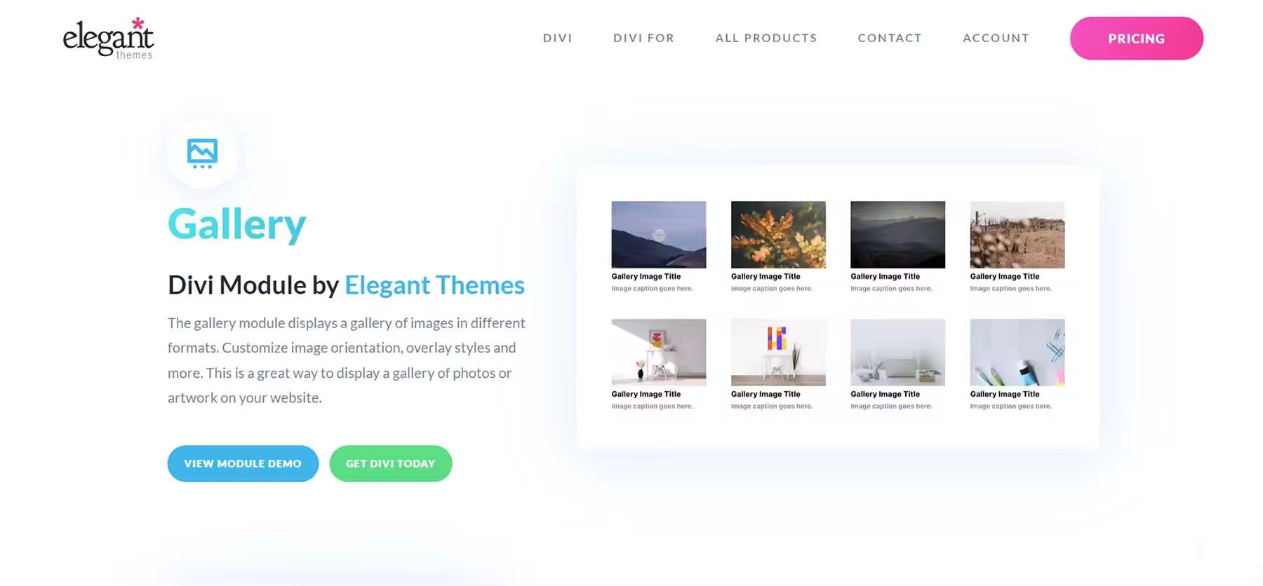 divi-gallery-module.jpgo_