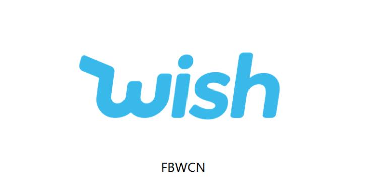 FBW是什么意思