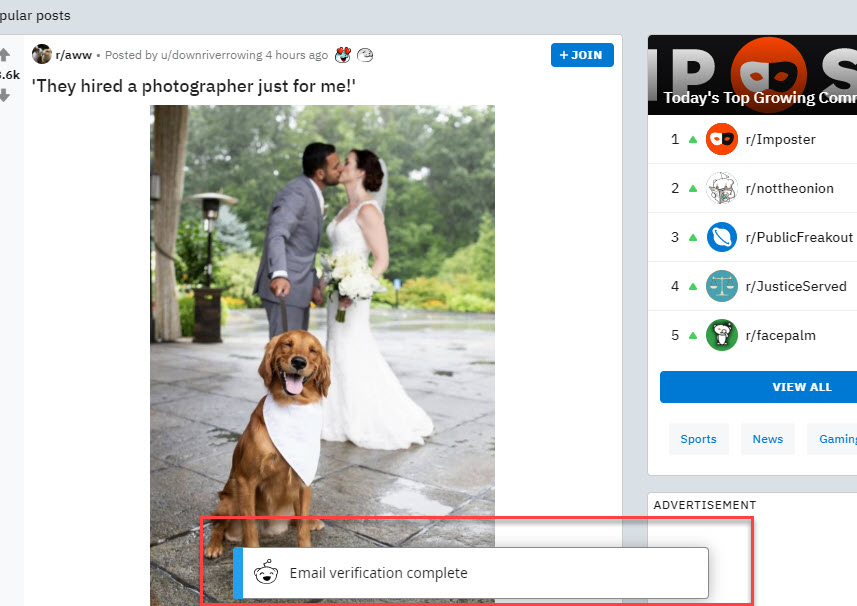 Reddit是个啥？如何注册Reddit社区，详细步骤图解