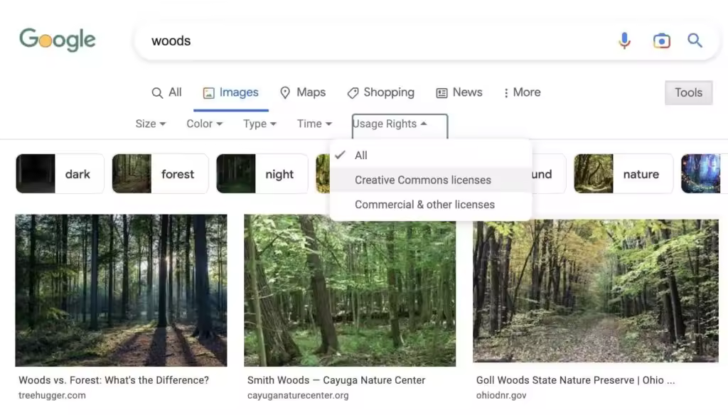 google-image-search-license-filter.jpgo_