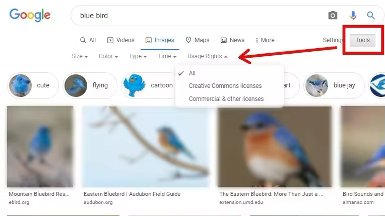 google-images-tools-62c6eb0d11c94-sej.pngo_