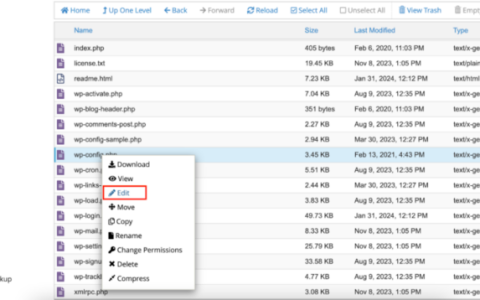 WordPress 如何新增新的文件类型支持