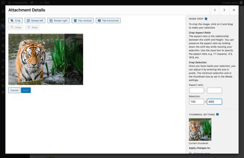 image-crop-selection-1-2-1024x662.pngo_