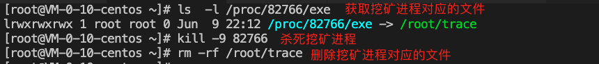 ly19173kmt
