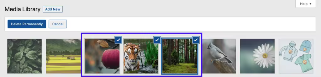media-bulk-select-1-2-1024x246.pngo_
