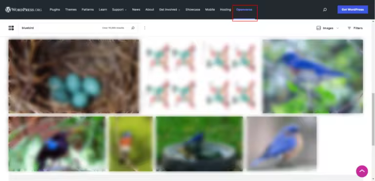 openverse-image-search-62c6eb27f0f3d-sej.pngo_
