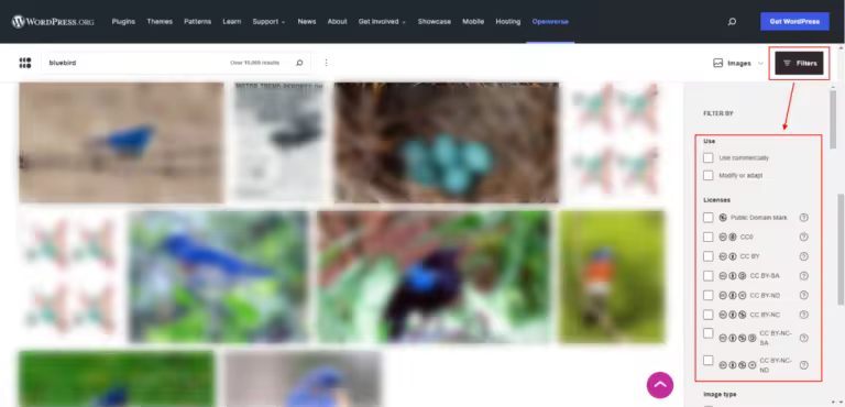 openverse-image-search-filters-62bdd1de565ce-sej-768x370-1.pngo_