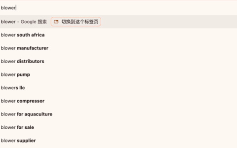 2025谷歌 SEO 优化新手指南入门教程
