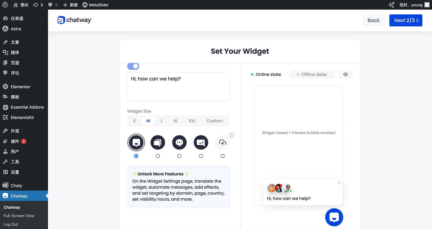 wordpress-chaty-pro-online-step4