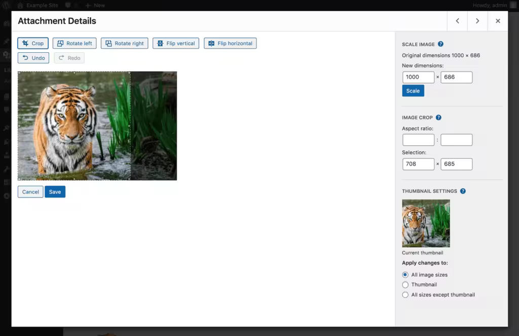 wordpress-image-crop-1-2-1024x662.pngo_