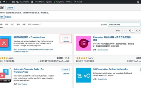 TranslatePress 插件 v2.8.9：使用多语言插件翻译WordPress站点