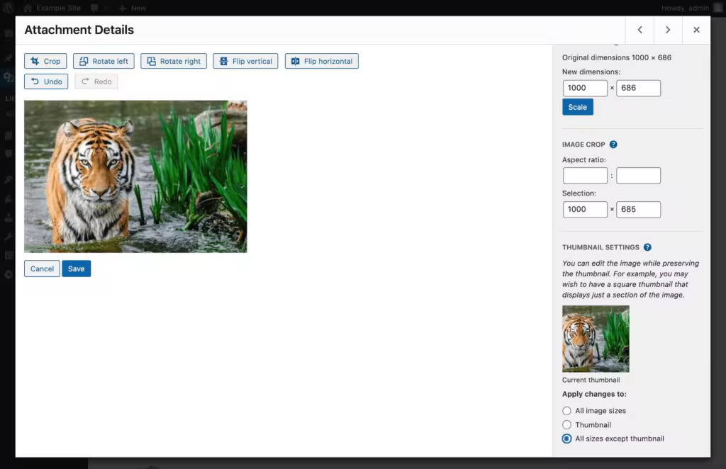 wordpress-thumbnail-edit-settings-1-2-1024x662.pngo_