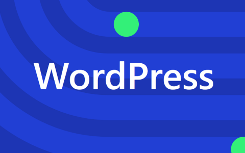 WordPress中文开发手册1-PHP编码标准