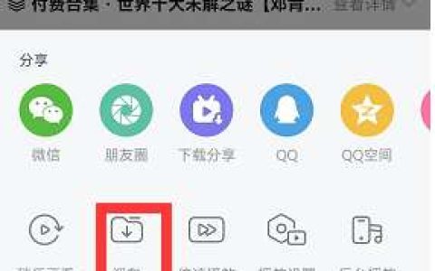 《哔哩哔哩》付费视频能不能缓存