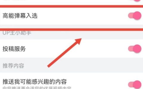 《哔哩哔哩》高能弹幕入选怎么打开