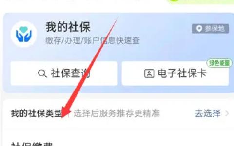 《支付宝》农村合作医疗怎么交