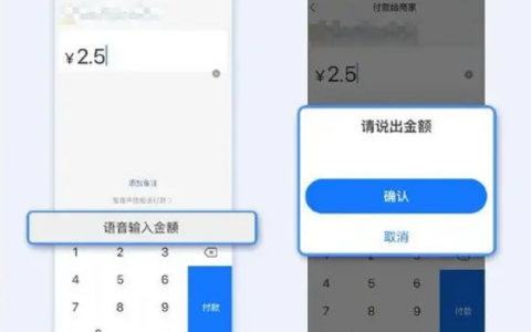 《支付宝》语音输入金额操作流程