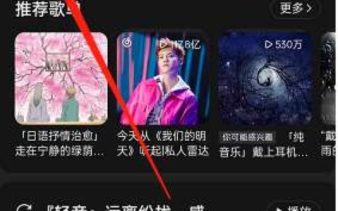 《网易云音乐》今日运势查看方法