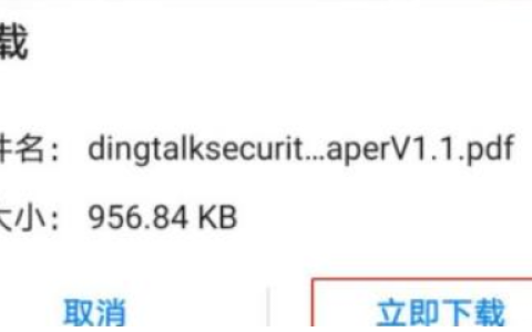 《钉钉》下载安全白皮书详细操作教程