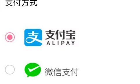 哔哩哔哩动画如何微信支付会员 具体操作方法介绍