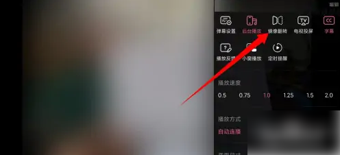 哔哩哔哩视频怎么镜面 哔哩哔哩开启镜像翻转教程