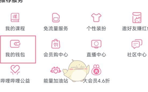 哔哩哔哩贝壳账户怎么查看 哔哩哔哩贝壳账户查看方法