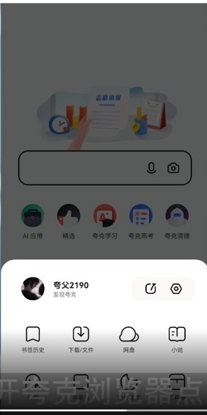 夸克浏览器为什么总是跳到网盘